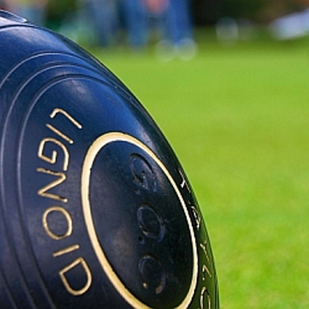 A lawn bowls ball