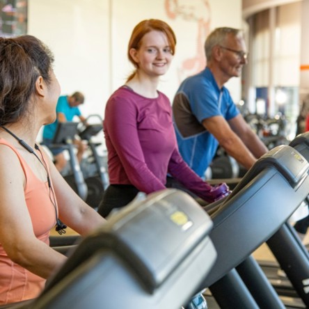 A group of people using treadmills in a gym
